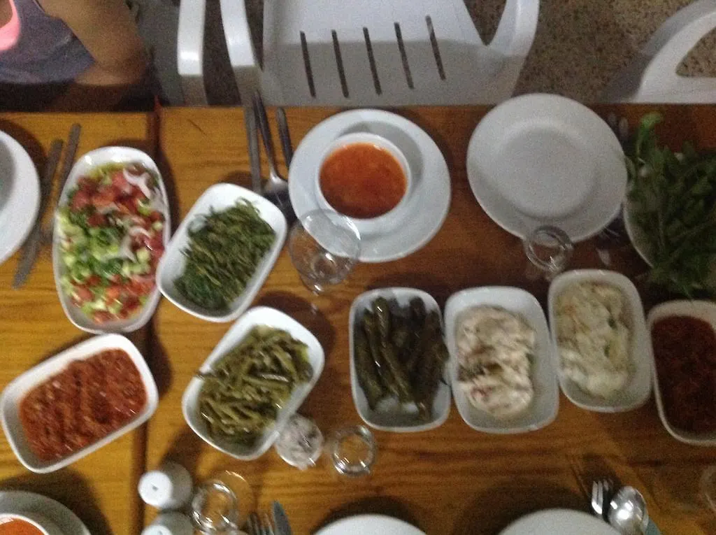 Otel Anatolia Motel Gümüldür