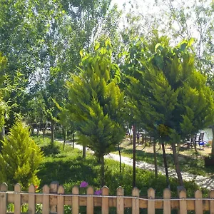 Deniz Kizi Oda ve Kahvaltı